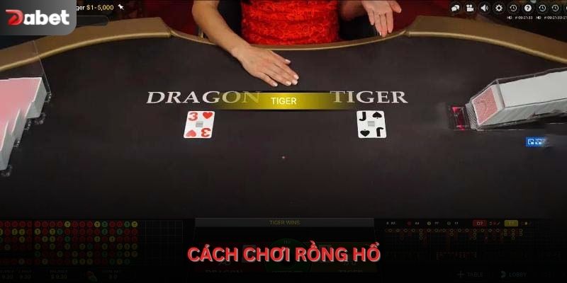 cách chơi Rồng Hổ