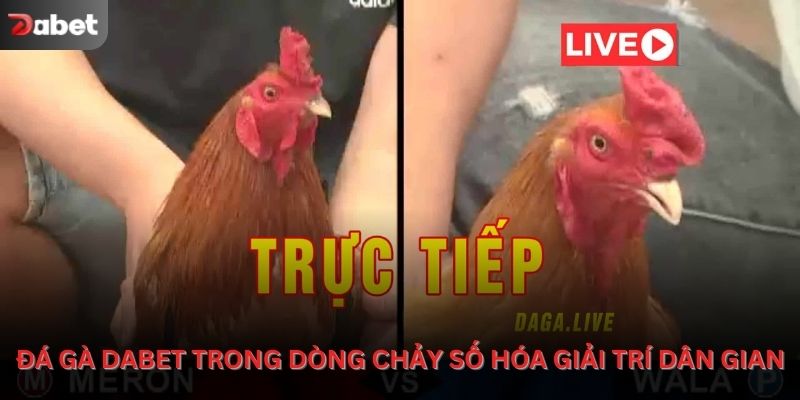 Đá gà Dabet trong dòng chảy số hóa giải trí dân gian