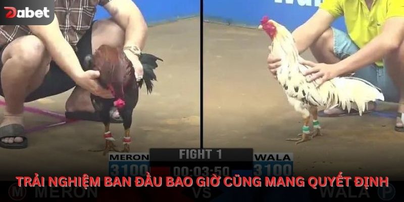 Trải nghiệm ban đầu bao giờ cũng mang quyết định